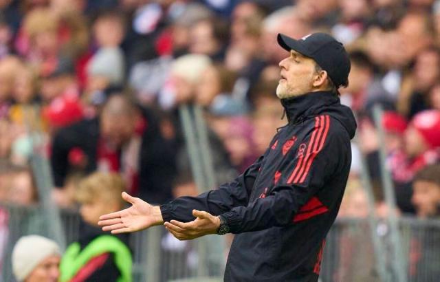 1681635393030043541.jpg 1681635393030043541.jpg